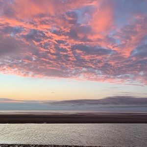 Meet your Posher, Shea